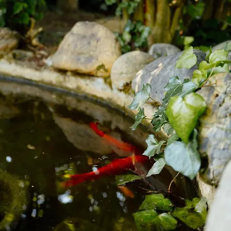 Maison Au Coeur De تارْب