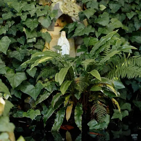 Maison Au Coeur De بيت ضيافة 3*