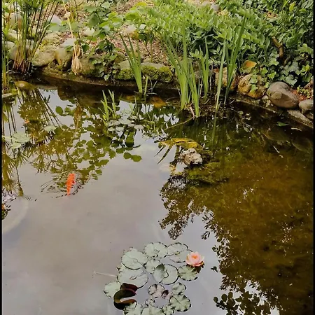 بيت ضيافة Maison Au Coeur De تارْب