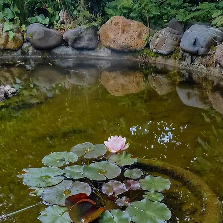 Maison Au Coeur De بيت ضيافة 3*