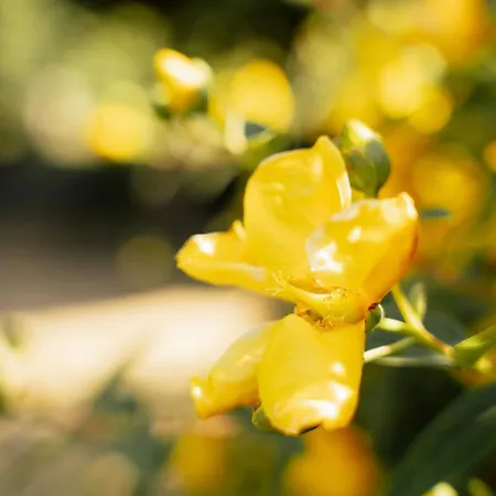 بيت ضيافة Maison Au Coeur De تارْب